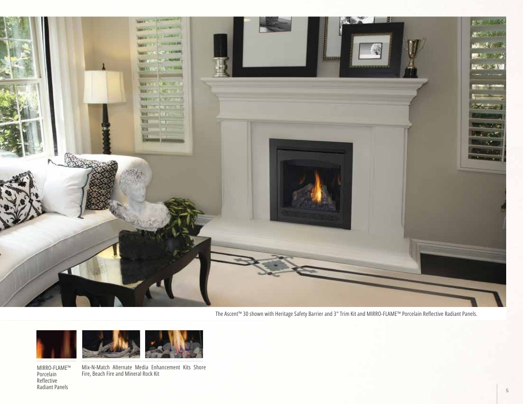 Napoleon Ascent 30 Direct Vent Gas Fireplace