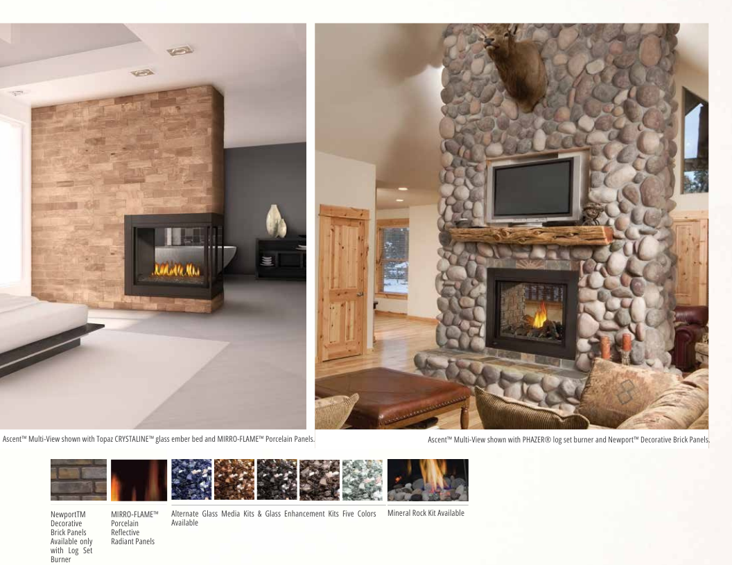 Napoleon Ascent Multi-View Direct Vent Gas Fireplace