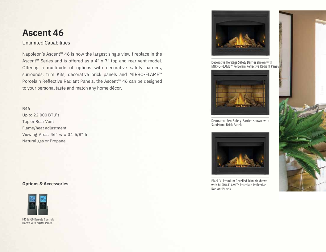 Napoleon Ascent 46 Direct Vent Gas Fireplace