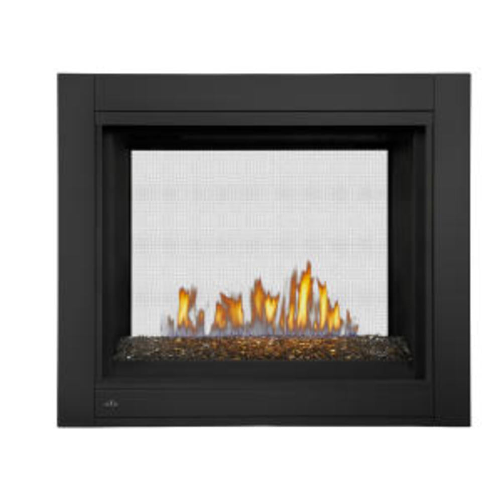 Napoleon Ascent Multi-View Direct Vent Gas Fireplace