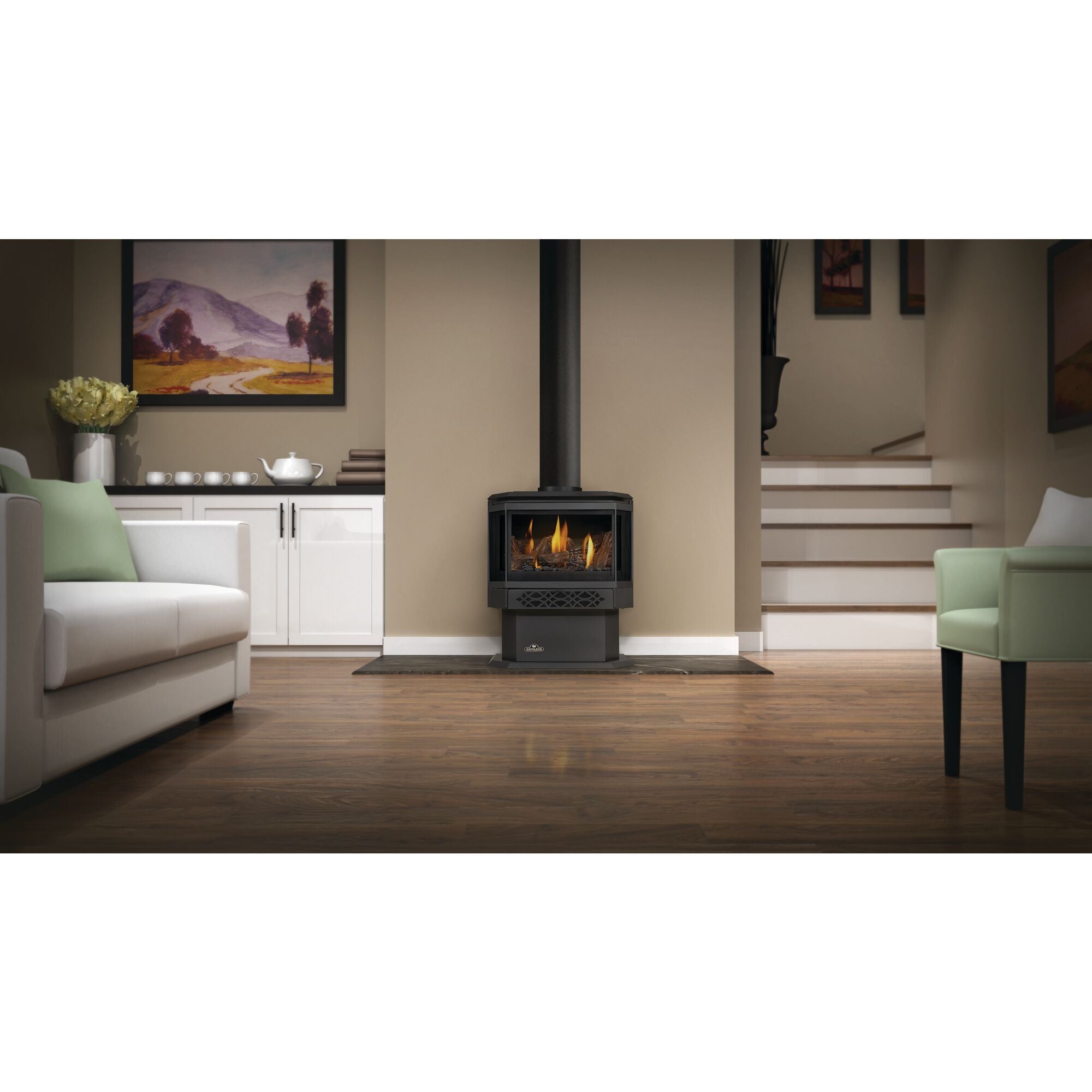 Napoleon Haliburton Direct Vent Gas Stove