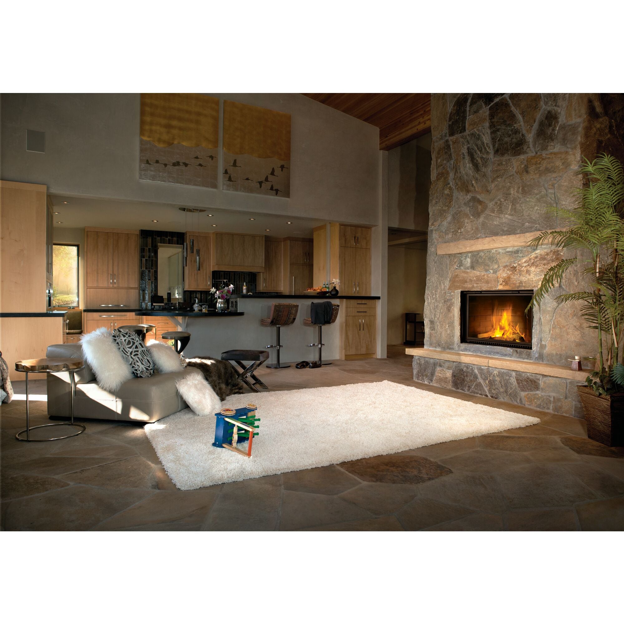 Napoleon High Country 8000 Wood Burning Fireplace NZ8000