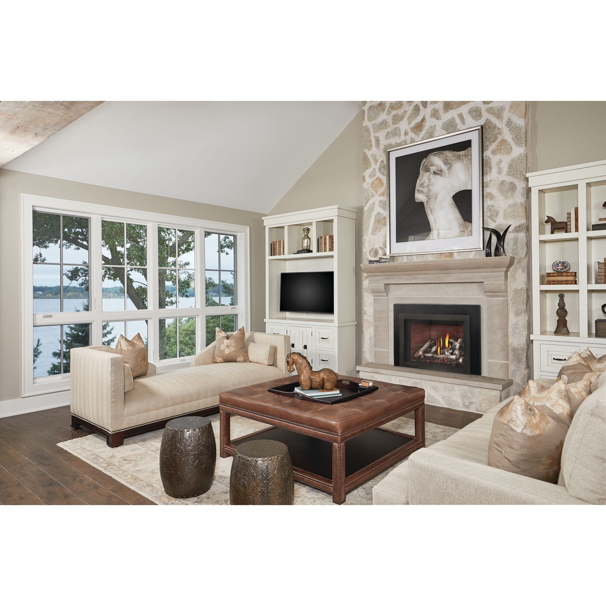 Napoleon Oakville X4 Direct Vent Gas Fireplace Insert