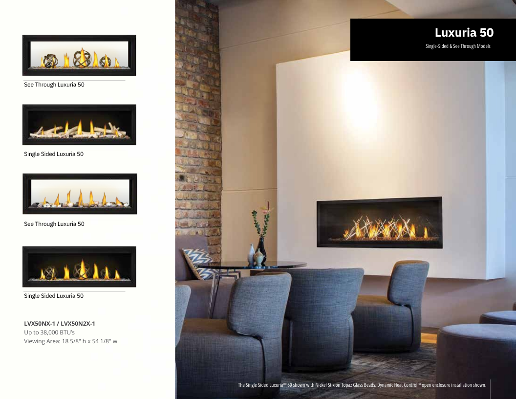 Napoleon Luxuria 50 Direct Vent Gas Fireplace