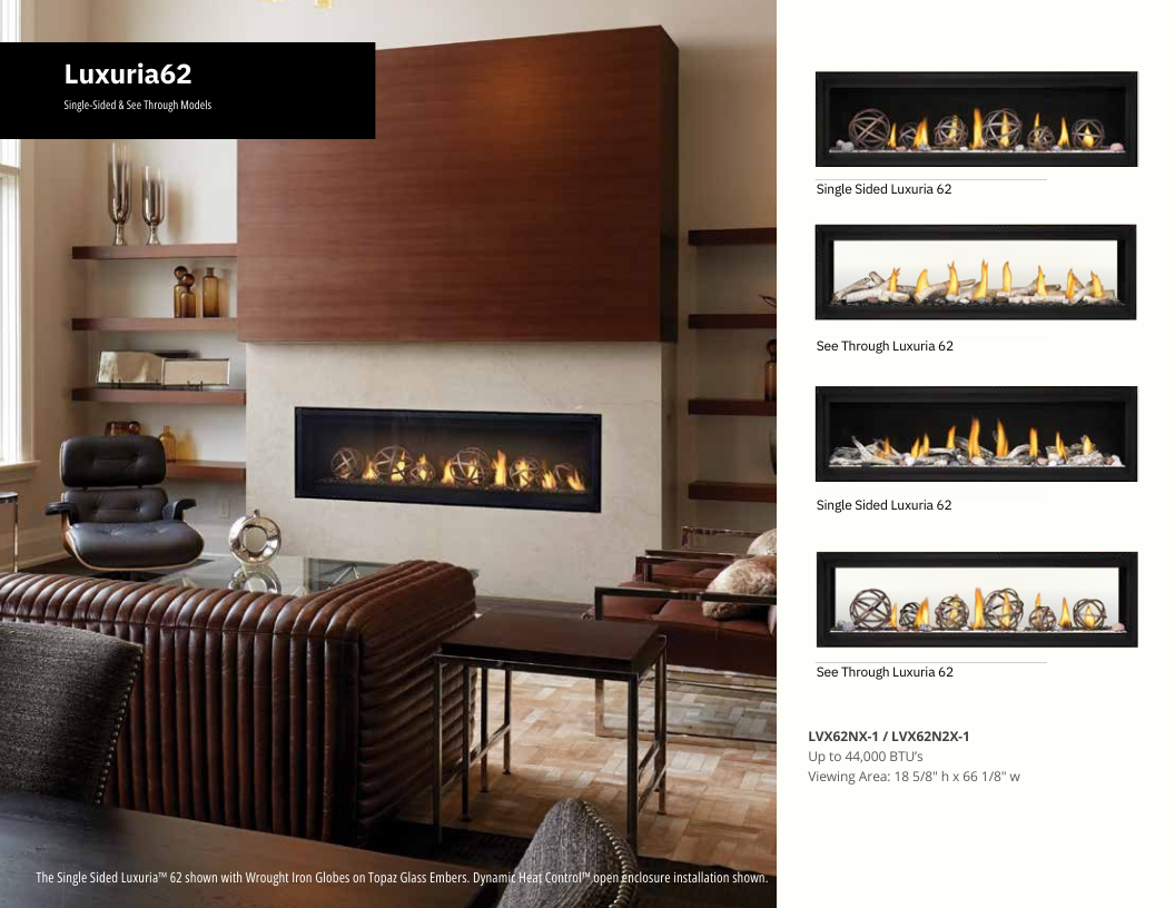 Napoleon Luxuria 62 Direct Vent See-Through Gas Fireplace