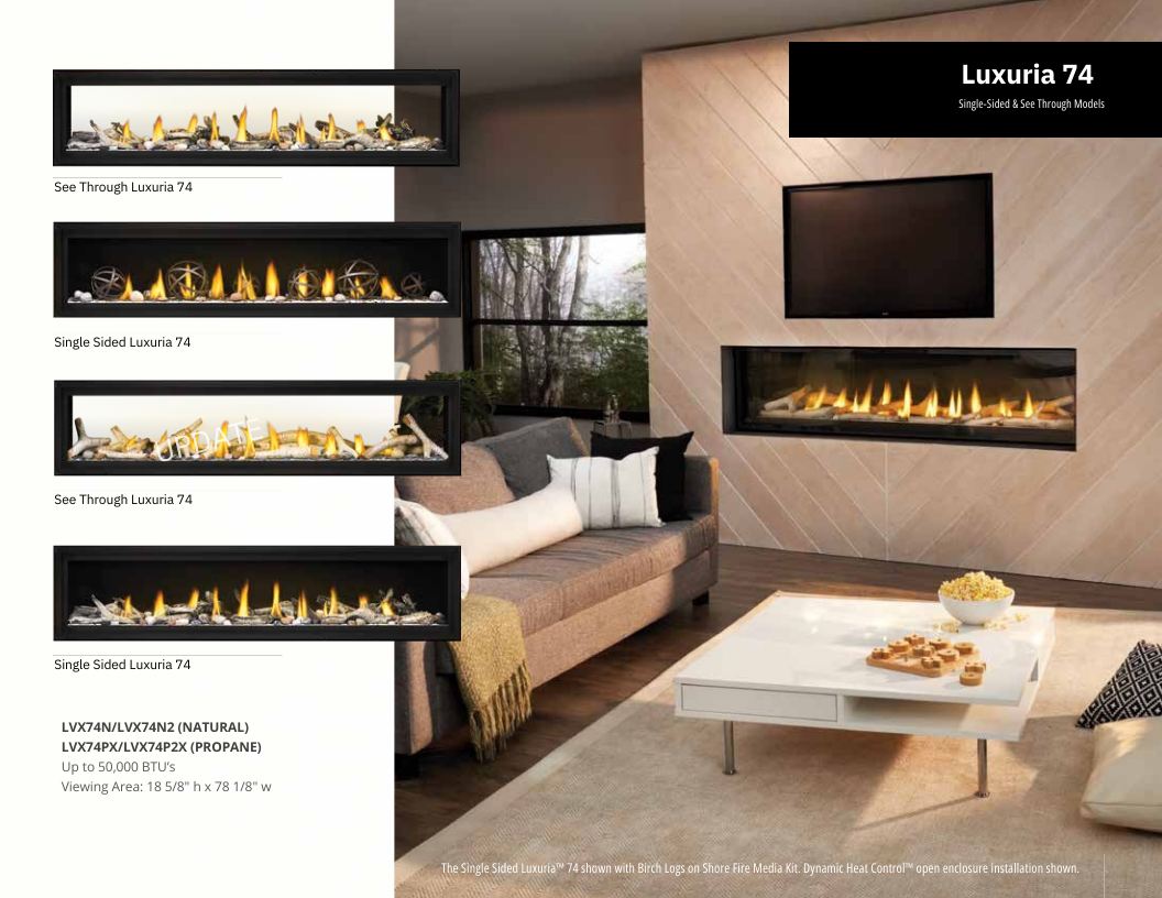 Napoleon Luxuria 74 Direct Vent See-Through Gas Fireplace