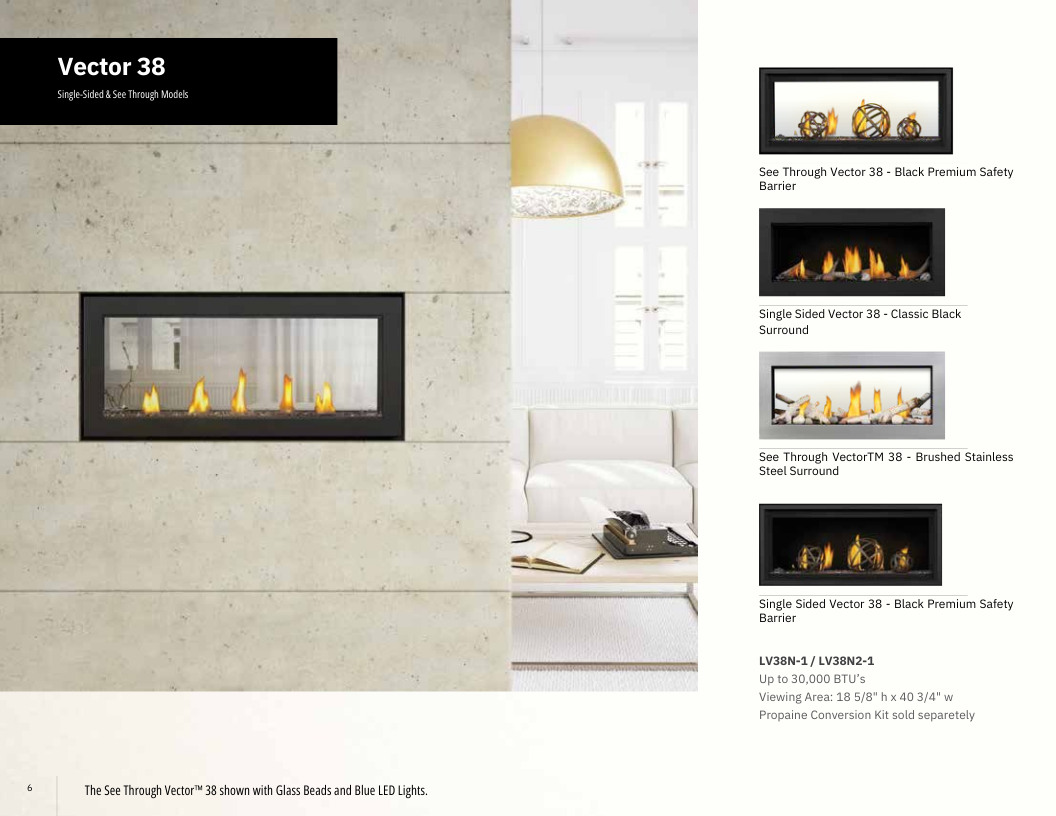 Napoleon Vector 38 Direct Vent See-Through Gas Fireplace