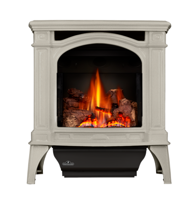 Napoleon Bayfield  Direct Vent Gas Stove