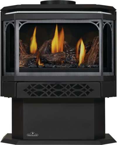 Napoleon Haliburton Direct Vent Gas Stove