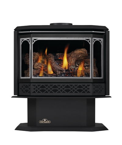 Napoleon Havelock Direct Vent Gas Stove