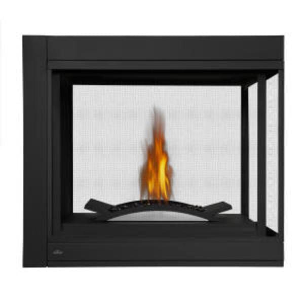 Napoleon Ascent Multi-View Direct Vent Gas Fireplace