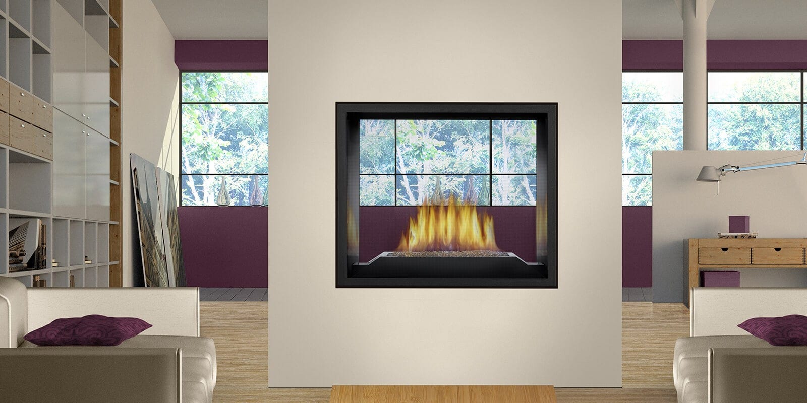 Napoleon High Definition Direct Vent See-Through Gas Fireplace