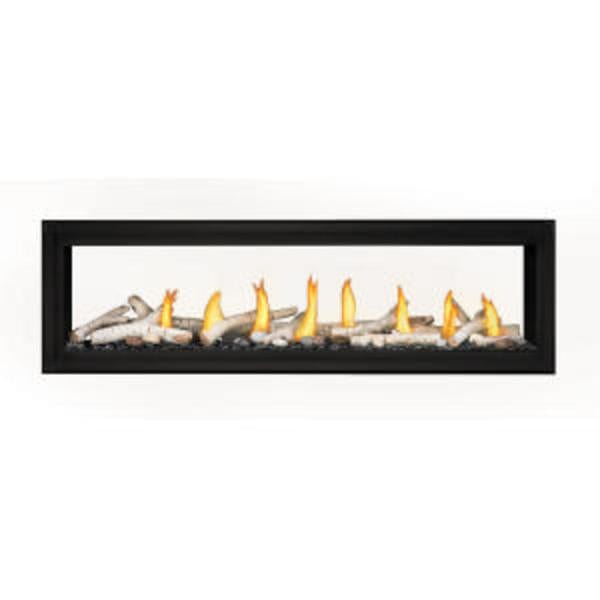 Napoleon Luxuria 62 Direct Vent See-Through Gas Fireplace