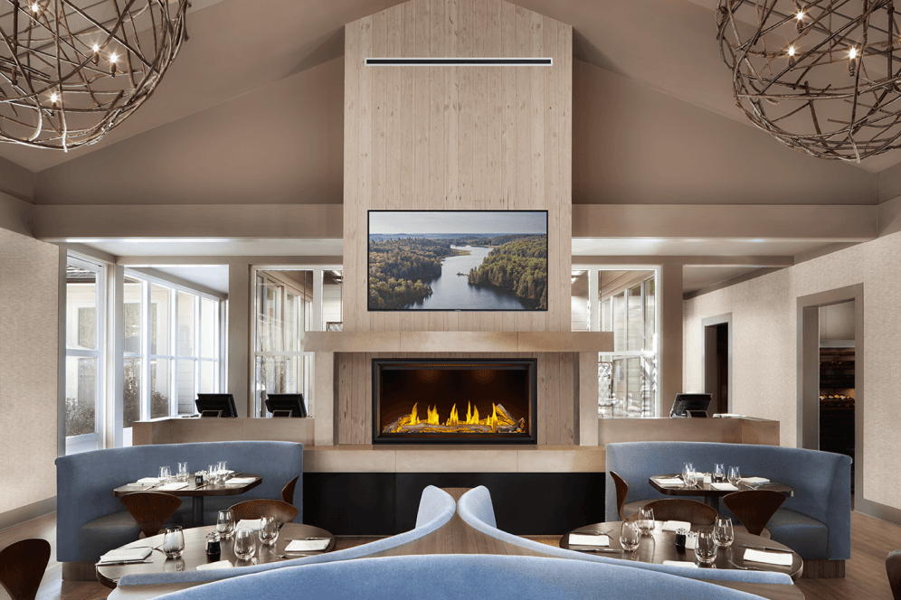 Napoleon Tall Linear Vector 50 Direct Vent Gas Fireplace