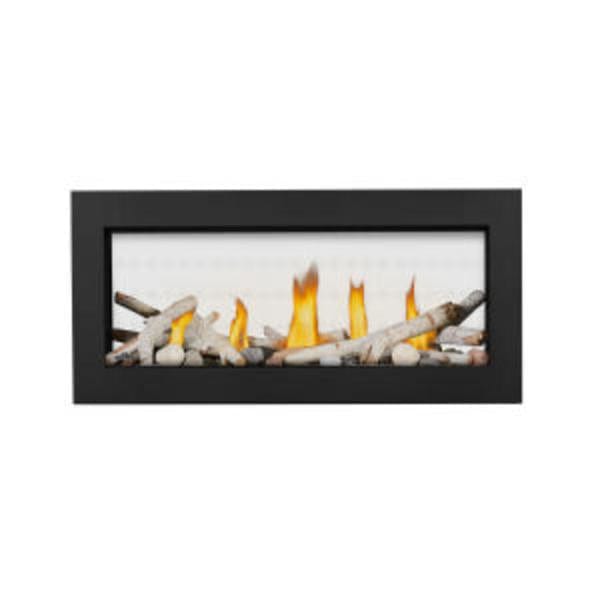 Napoleon Vector 38 Direct Vent See-Through Gas Fireplace