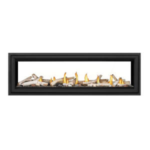 Napoleon Vector 62 Direct Vent See-Through Gas Fireplace