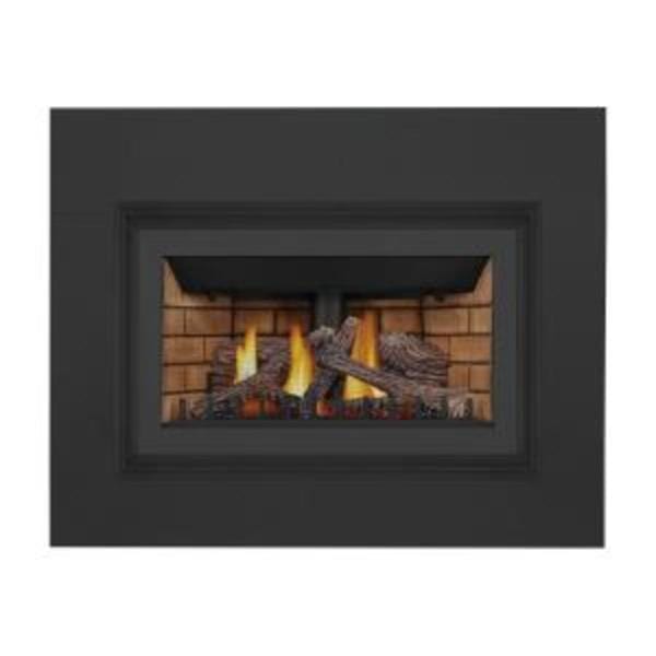 Napoleon Inspiration Direct Vent Gas Fireplace Insert