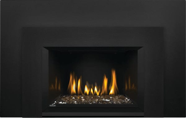 Napoleon Oakville GDIG3N Series™ - Direct Vent, Gas Insert  - Natural Gas / Liquid Propane