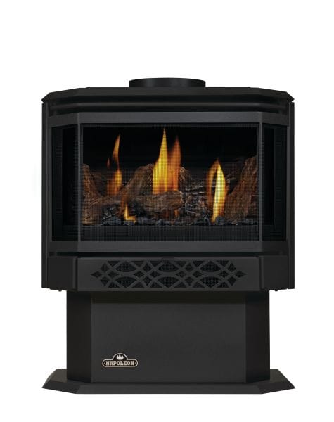 Napoleon Haliburton Direct Vent Gas Stove