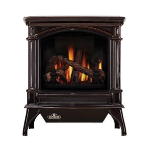 Napoleon Knightsbridge Direct Vent Gas Stove