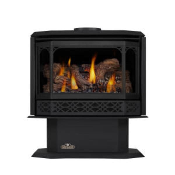 Napoleon Havelock Direct Vent Gas Stove