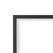 Napoleon Finish Trim - Black For Ascent™ Deep Series Gas Fireplace